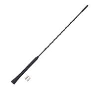 AIV Asta Antenna Sport Universale Tetto 40cm M5 M6 16V Autoradio Auto