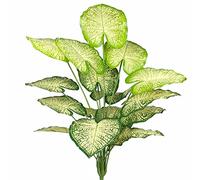 AIVORIUY Piante Artificiali da Interno all'aperto, Stelo e Foglie di Albero Tropicale in Plastica, Realistico Finte Areca Palma Giungla Verde Decorazione per Casa Pianta Giardino Ufficio, 75cm Verde