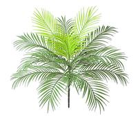 AIVORIUY Rami di Palma Tropicali Artificiali Cespugli Foglie di Giungla Verde 15 Foglie Tropicali 63 cm Alto Pianta Finta per Casa Composizione Floreale Decorazione Hawaiana Luau Festa Spiaggia