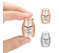 AIWENXI 2 mini urne funebri in acciaio inox per ceneri di uomo o animale domestico (argento + oro rosa)