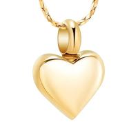 AIWENXI Animale domestico cremazione gioielli cuore urna collane per uomini donne in acciaio inox cremazione monumento ciondolo souvenir titolare di cenere gioielli, Acciaio inossidabile