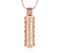 AIWENXI Cane zampe cremazione gioielli per ceneri cilindro commemorativo cenere collane per uomini donne in acciaio inox cane/gatto promemoria ciondolo, Acciaio inossidabile