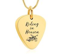 AIWENXI Chitarra Pick Urna Collane per Ceneri Moto Cremazione Memoriale Cenere Collane per Uomini Donne Acciaio Inossidabile Pet Promemoria Ciondolo, Acciaio inossidabile