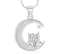 AIWENXI Ciondolo a forma di luna di cenere per uomini donne amore gatto memoriale centrogenazione gioielli in acciaio inox per animali domestici ricordi collane, Acciaio inossidabile
