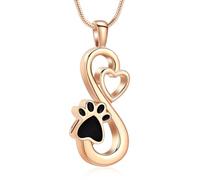 AIWENXI Collana con ciondolo a forma di zampa di cenere, in acciaio inox, per animali domestici, per la cremazione, ricordi, urna per animali domestici, per uomini e donne, Acciaio inossidabile