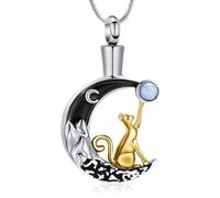 AIWENXI Collana con urna di luna per cenere, gatto, cremazione, gioielli per cenere, per uomini, donne, in acciaio inox, cenere, monumento, cenere, urne, Acciaio inossidabile