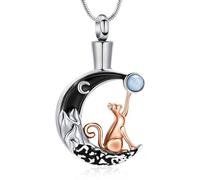 AIWENXI Collana con urna di luna per cenere, gatto, cremazione, gioielli per cenere, per uomini, donne, in acciaio inox, cenere, monumento, cenere, urne, Acciaio inossidabile