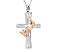 AIWENXI Cristallo Croce Cenere Collane per Uomini Donne Corona Cremazione Monumento Cenere Gioielli In Acciaio Inox Pet Promemoria Ciondolo, Acciaio inossidabile