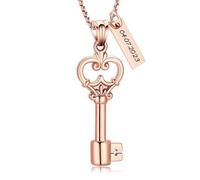 AIWENXI Forma chiave Urna Collane per uomini donne fiore cremazione monumento cenere pendente in acciaio inox Pet promemoria collane per portacenere gioielli, Acciaio inossidabile