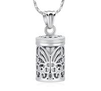 AIWENXI Gioielli di cremazione a cilindro per cenere cava farfalla cenere collane per uomini donne in acciaio inox ciondolo commemorativo cremazione promemoria per gli amanti degli animali domestici