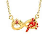 AIWENXI Infinito Urna Collane per donne uomini cardinale nordico cremazione gioielli per ceneri cristallo angelo ali commemorativo ciondolo cenere ricordi animali domestici gioielli, Acciaio
