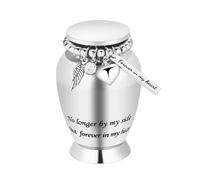 AIWENXI Piccole urne per cenere umana ricordo cremazione urna per cenere umana con ali fascino mini personale urna funerale per animali domestici (piccole ali argente)