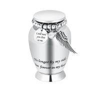 AIWENXI Piccole urne per cenere umana ricordo cremazione urna per cenere umana con ali fascino mini personale urna funerale per animali domestici (ali grandi argente)