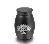 AIWENXI Piccole Urne - Super Mini Urne per Cremazione per Ceneri Umane o di Animali - Supporto per Ceneri in Acciaio Inox