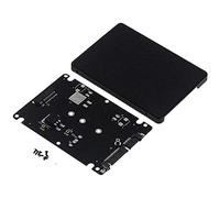 Aiwjeakh M.2 NGFF a 2.5 pollici SSD/MSATA a Card Case (chiave B per adattatore PC M2+M Desktop Socket NGFF)