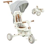 AIYAPLAY Triciclo per Bambini 5 in 1 con Maniglione di Spinta e Copertura