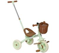 AIYAPLAY Triciclo per bambini dai 2 ai 5 anni, triciclo per bambini 2 in 1 con maniglia regolabile per il genitore, pedali, poggiapiedi, cestino portaoggetti, bicicletta a 3 ruote per bambini e