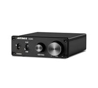 AIYIMA A1001 Mono amplificatore subwoofer amplificatore HiFi Digital Power Amplificatore audio AMP 100W Home Theater with 24V power supply