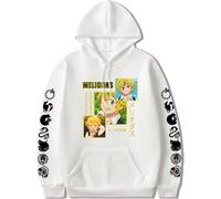 AIYINIY The Seven Deadly Sins Felpa con cappuccio con stampa anime Meliodas Cosplay Felpa con cappuccio da uomo casual (tipo 2, XL)