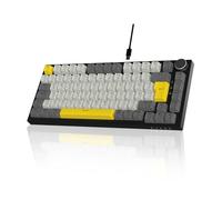 AJAZZ AK820 Wired Mechanical Keyboard, 75% Gaming Keyboard with Volume Control Knob, German QWERTZ Layout, 82 chiavi, Five Layer Sound Insulation Pad, RGB Backlight, Full-Key Hot Swap, Grey White