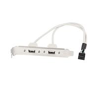 AJOHBM 2/4 Port USB Staffa Cavo, Staffa della Scheda Madre USB 2.0. 9 Pin a 2 x all'adattatore Femminile, USB 3.0 2 0pin Intestazione a 2 Porte USB 3 Splitter (Size : 0.3m, Color : 2 Port USB 2.0)