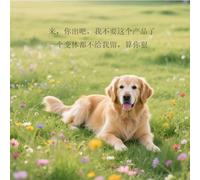 AJTXCSFOQL Legno Arco da Giardino a Traliccio, 210 225 247 260 cm Supporto per Rose e Piante Rampicanti, Terrazza Esterni Balcone Pergolato Pergola, Facile Montaggio(180x247x50cm)