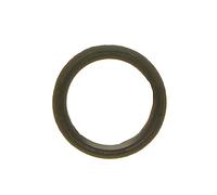 Ajusa 00521300 Anello Tenuta, Tappo Scarico Olio