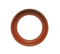 AJUSA 00867000 Guarnizione, valvola EGR