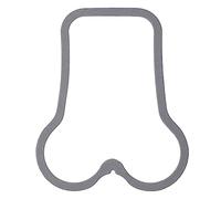 Ajusa 11005700 Guarnizione coperchio testata