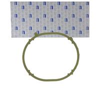 AJUSA 13204300 Guarnizione Collettore aspirazione per SMART FORFOUR (454)