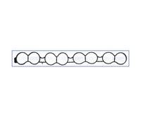 Ajusa 13257900 Guarnizione Collettore Aspirazione per Kia Sport Sl Hyundai i30