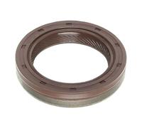 Ajusa 15081900 Paraolio, Albero a Gomiti