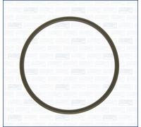 AJUSA 16033800 Guarnizione, Termostato per ,Audi , Bertone, BMW, Ford, Skoda ,
