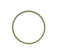 Ajusa 24023100 Guarnizione, Collettore Aspirazione