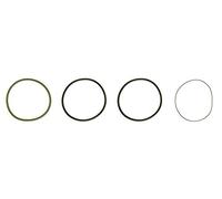 Ajusa 60006400 Kit Guarnizioni, Canna Cilindro