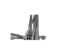 Ajusa 81013300 Kit Bulloni Testata