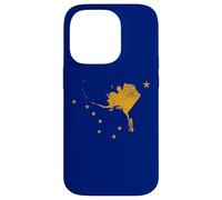 AK Alaska State Flag Big Dipper Ursa Major Stella Nord Custodia per iPhone 14 Pro