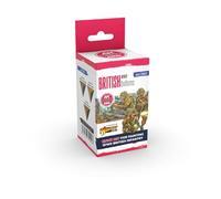 AK QUICK GEN SET AK17503 BRITISH UNIFORMS (3x18ml)