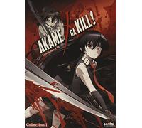 Akame Ga Kill 1 [Edizione: Stati Uniti]
