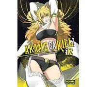 Akame ga kill! 12