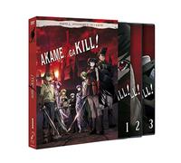 Akame ga Kill! (AKAME GA KILL EPISODIOS 1 A 12, Importé d'Espagne, langues sur les détails)