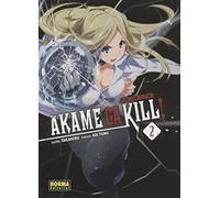 Akame Ga Kill! Zero 2