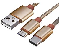 AKASA Cavo di Ricarica USB-C/Micro USB 2-in-1, 1,2m, Oro