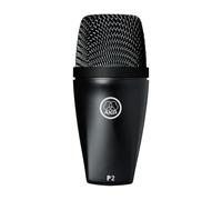 AKG Perception Micro P2 pour les Instruments Graves