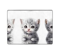 AKGFFDS Tappeto antiscivolo tappetino 63x48 pollici Povero piccolo gatto grigio Stampa buon assorbimento d'acqua adatto per cucina, bagno e soggiorno
