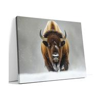 AKINDA Art Gallery - Stampa su Tela 40 x 30 cm - Bisonte sulla neve - Bianco - Alaska - Quadro Moderno Soggiorno - Fotografia Animali - Idea Regalo per Arredo Casa