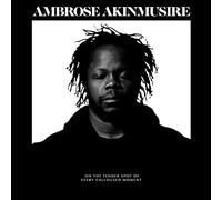 Akinmusire Ambrose - On The Tender Spot Of Every Calloused Moment
