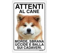 AKITA INU Attenti al cane morde sbrana uccide e balla sui cadaveri 20X30