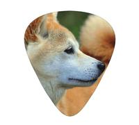 Akita Inu Bokeh Animali Cani Akita Inu,12 pezzi di plettri per chitarra, 3 plettri di diverso spessore per chitarra acustica, basso, ukulele