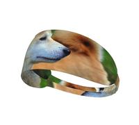 Akita Inu Bokeh Animali Cani Akita Inu,Fascia elastica per capelli multiuso unisex, fascia antisudore sportiva